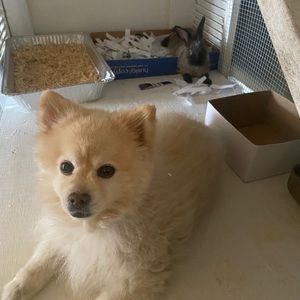 Meet your Posher, Kay